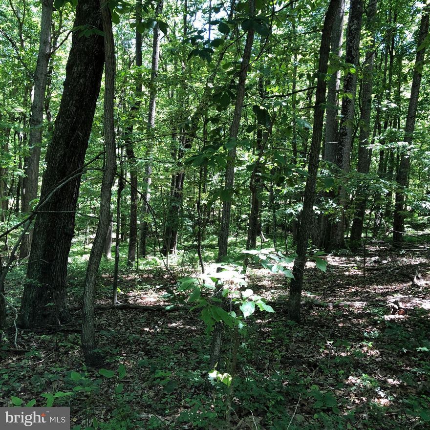 COME TO WONDERFUL WEST VIRGINIA WHERE THE TAXES AND COST OF LIVING ARE MUCH CHEAPER. MAKE THIS YOUR HOMESTEAD OR COME ON WEEKENDS. BUY 2 ACRES AND HAVE ACCESS TO ALL OF SHORT MOUNTAIN PUBLIC HUNTING. IF YOU FEEL THE NEED TO HAVE YOUR BUDDIES  HUNT WITH YOU. THERE IS ANOTHER 2 ACRE LOT FOR SALE NEXT TO THIS ONE. COME ONE COME ALL. SHORT WALK TO PUBLIC HUNTING.