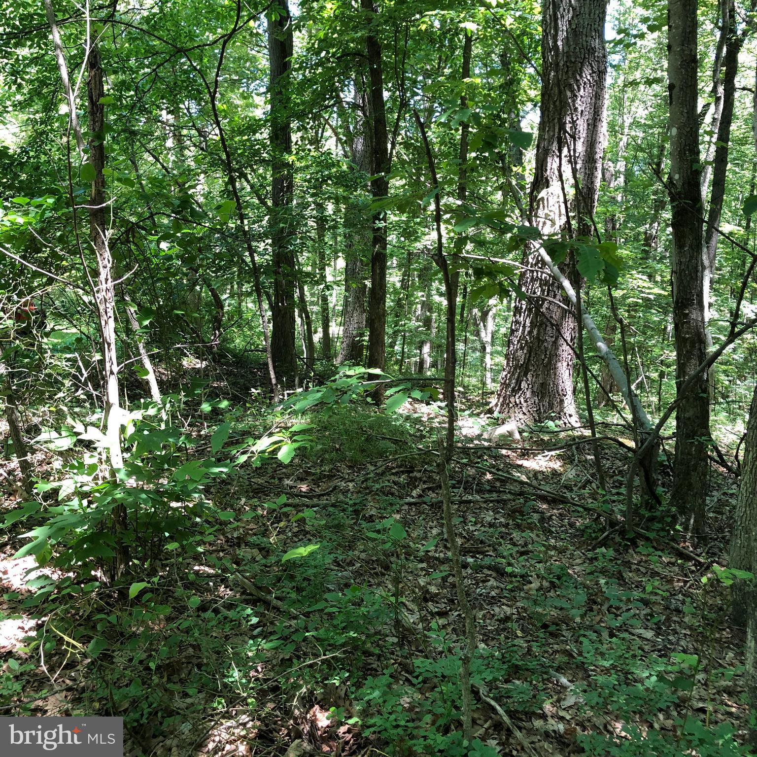 SHORT MOUNTAIN VILLAGE - Land