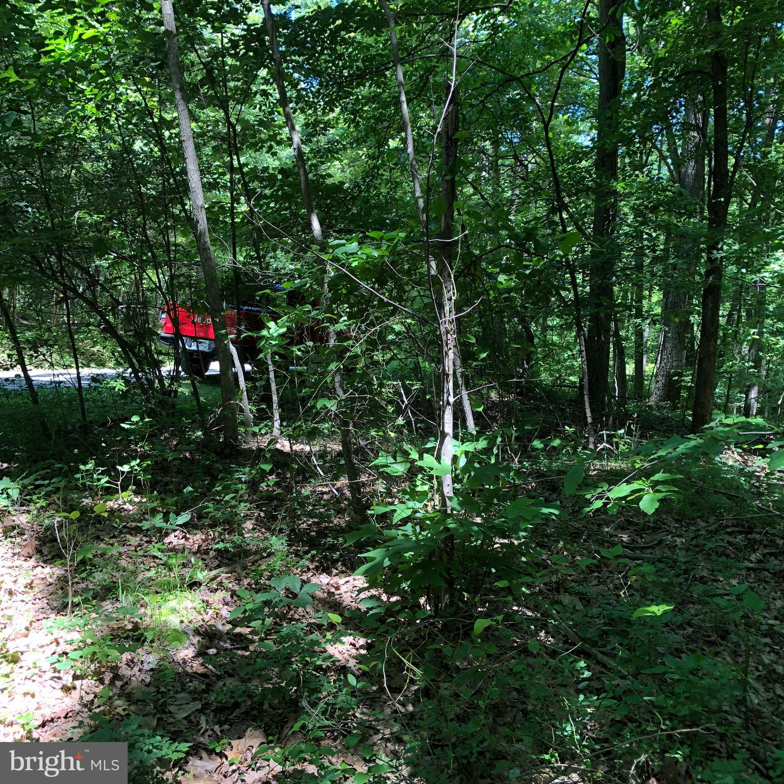 SHORT MOUNTAIN VILLAGE - Land