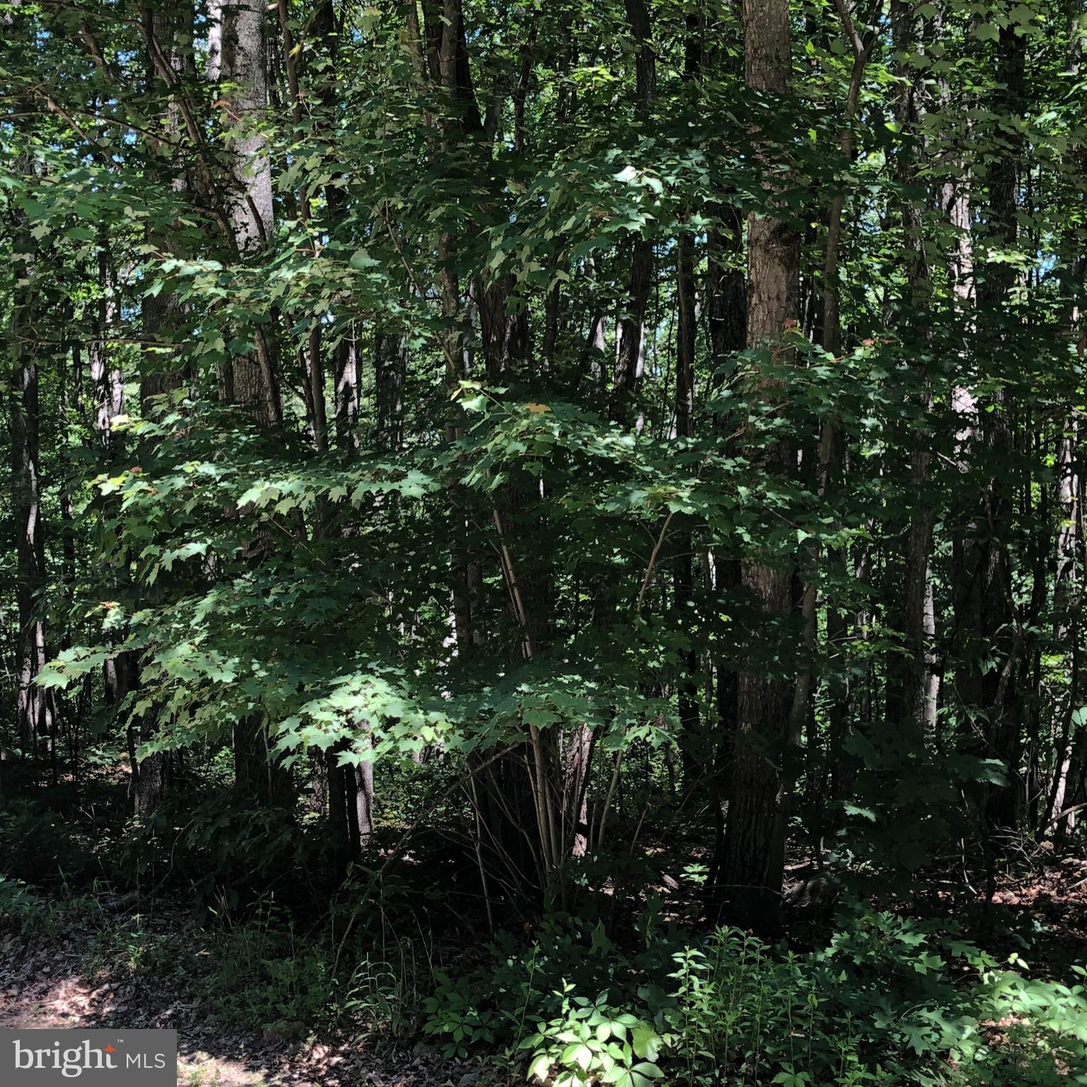 SHORT MOUNTAIN VILLAGE - Land