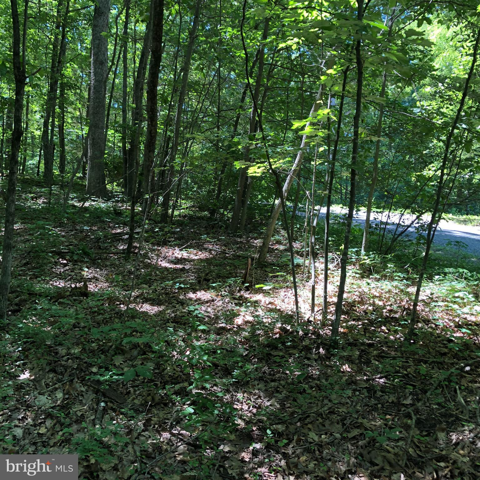 SHORT MOUNTAIN VILLAGE - Land