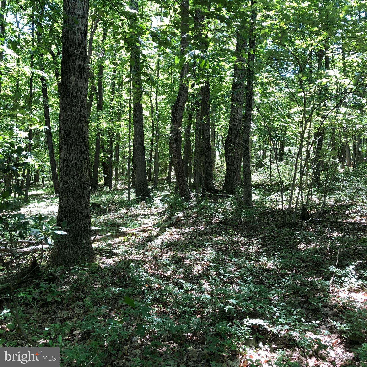 SHORT MOUNTAIN VILLAGE - Land