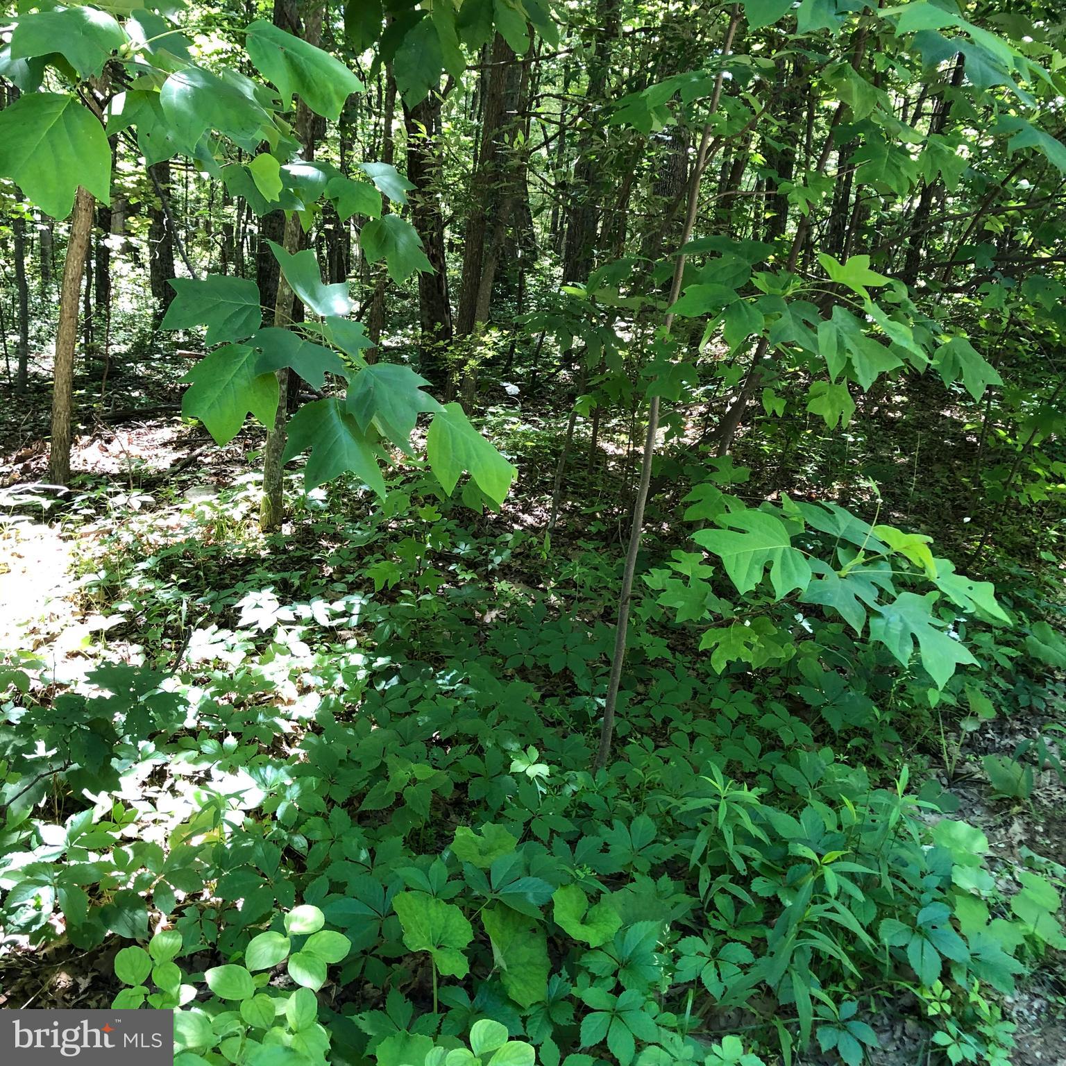 SHORT MOUNTAIN VILLAGE - Land