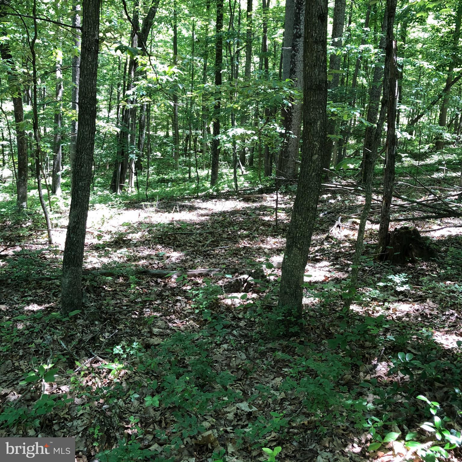 SHORT MOUNTAIN VILLAGE - Land