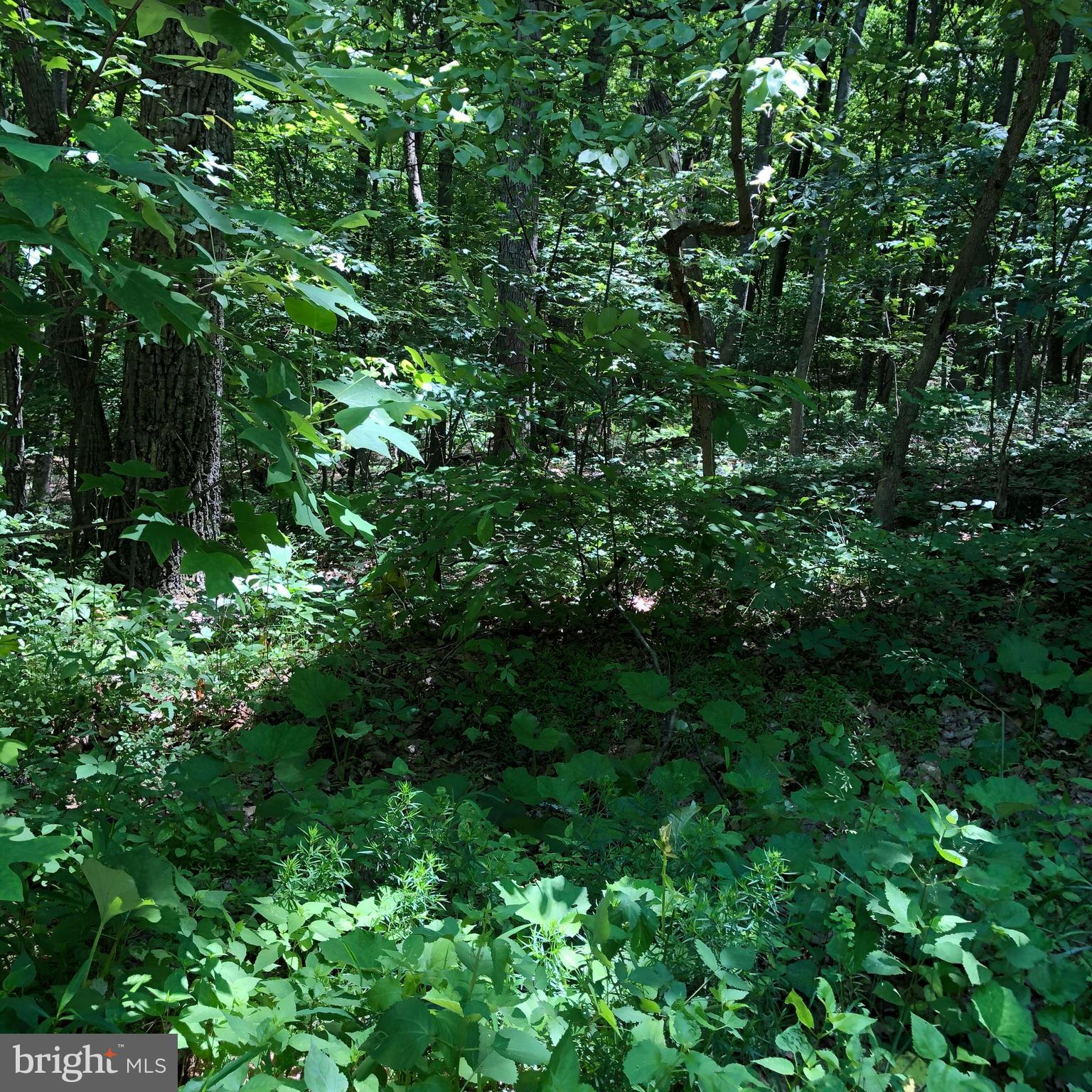 SHORT MOUNTAIN VILLAGE - Land