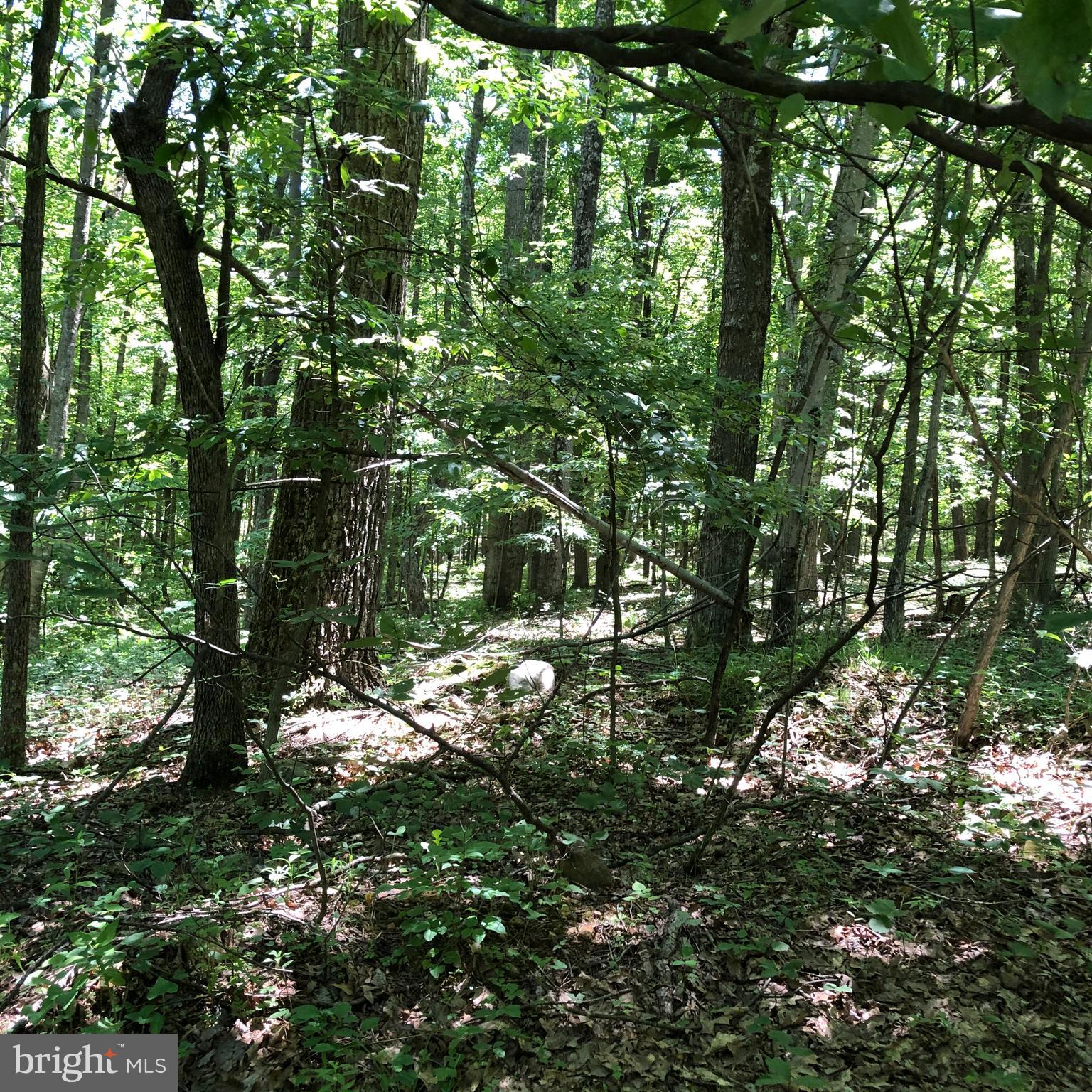 SHORT MOUNTAIN VILLAGE - Land