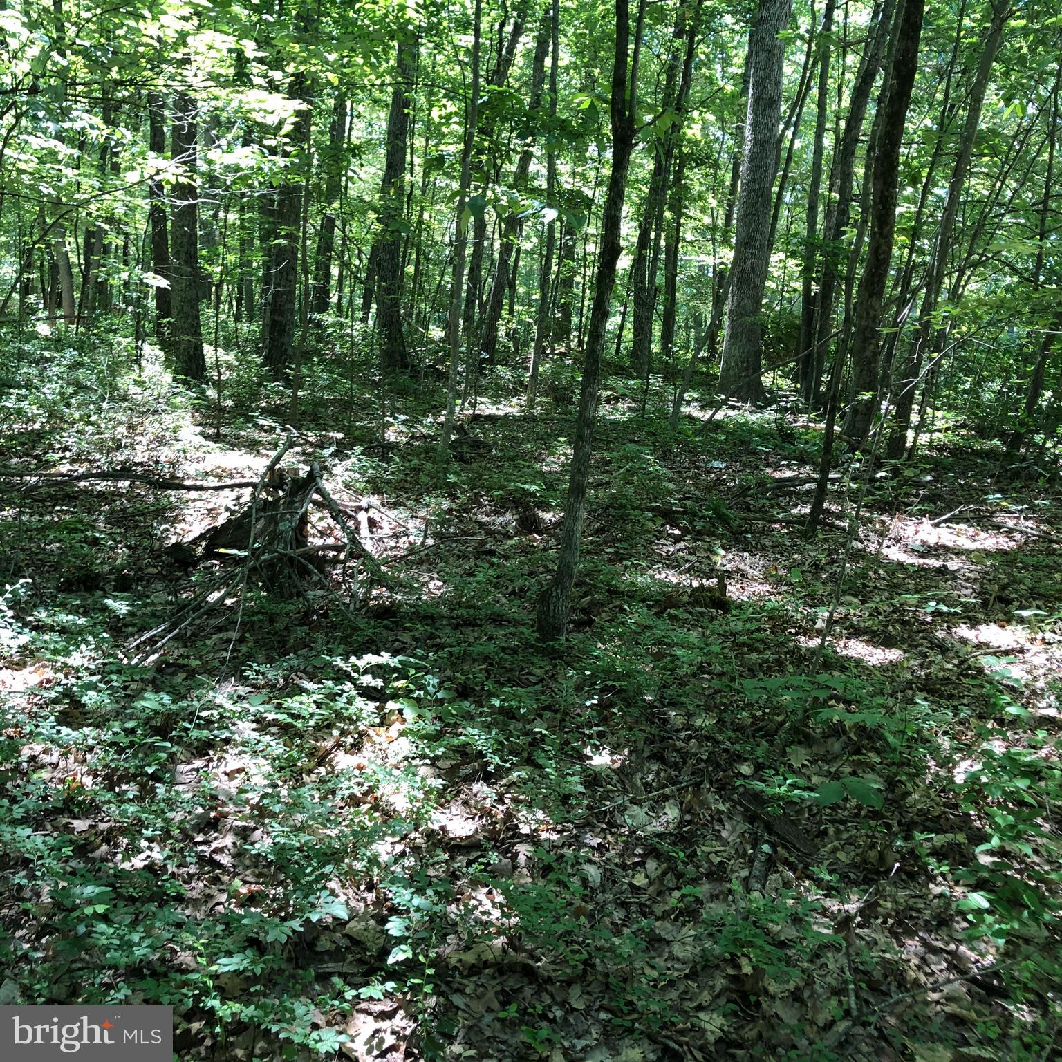 SHORT MOUNTAIN VILLAGE - Land