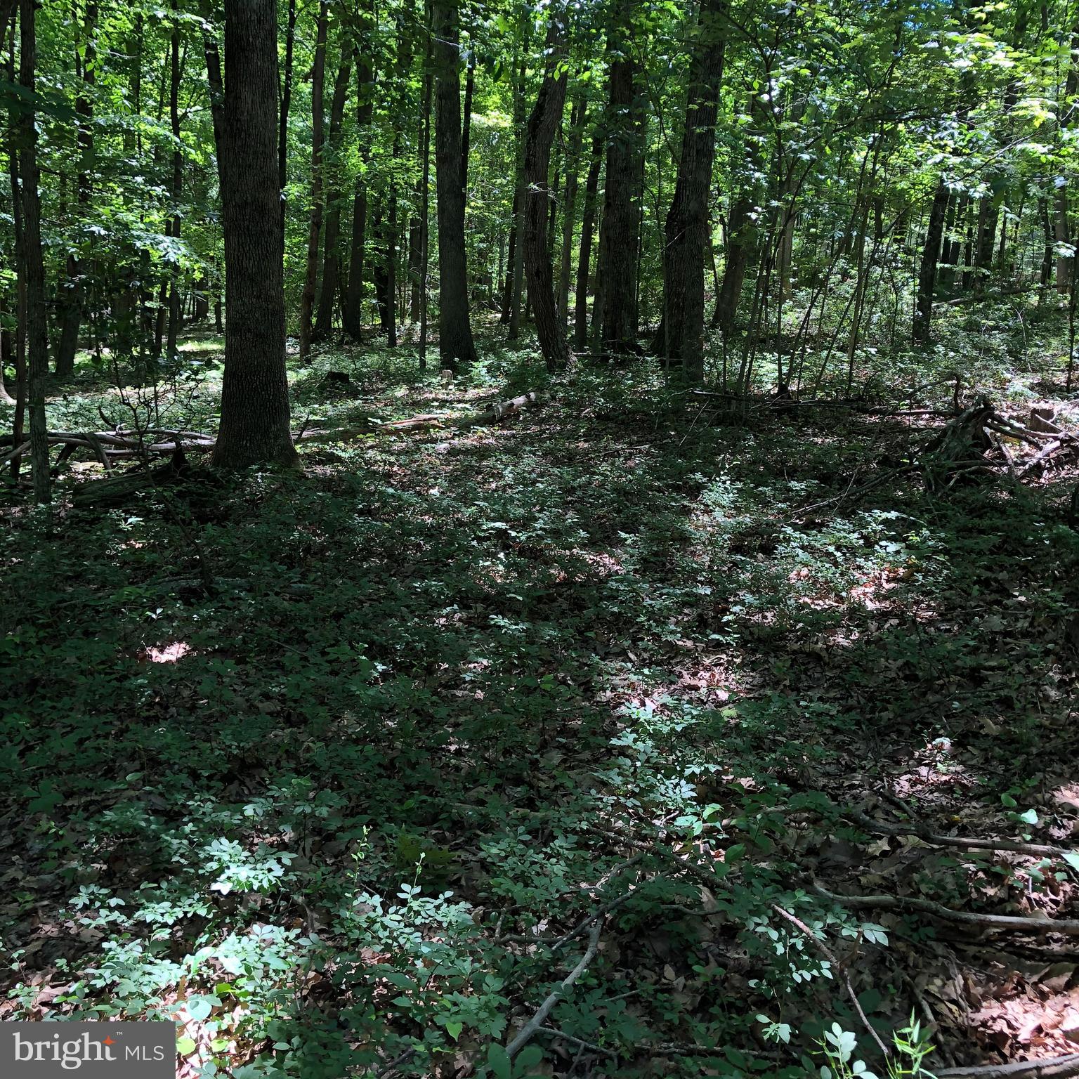 SHORT MOUNTAIN VILLAGE - Land