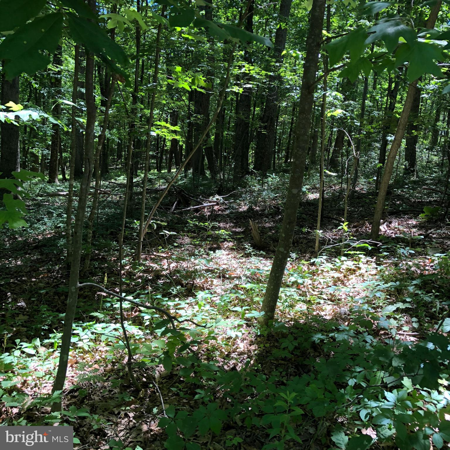 SHORT MOUNTAIN VILLAGE - Land