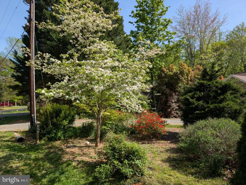 LAKE OF THE WOODS - Residential