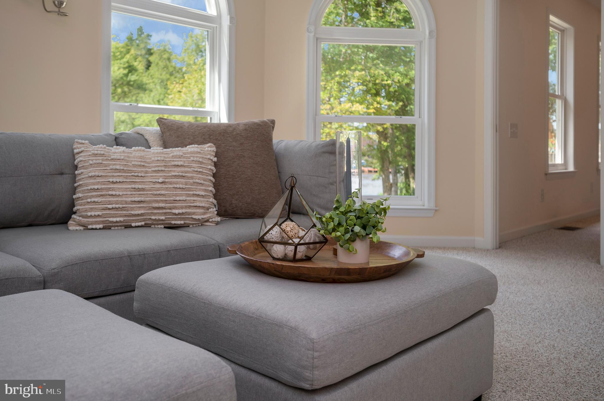 LAKE OF THE WOODS - Residential