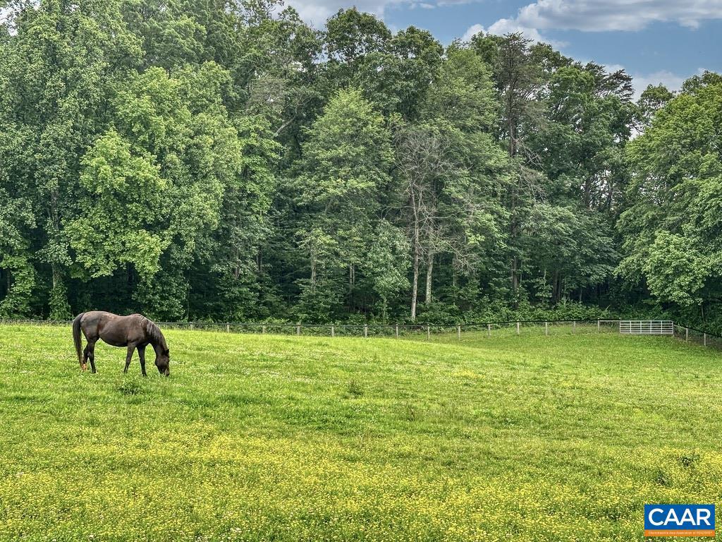 NONE AVAILABLE - Land