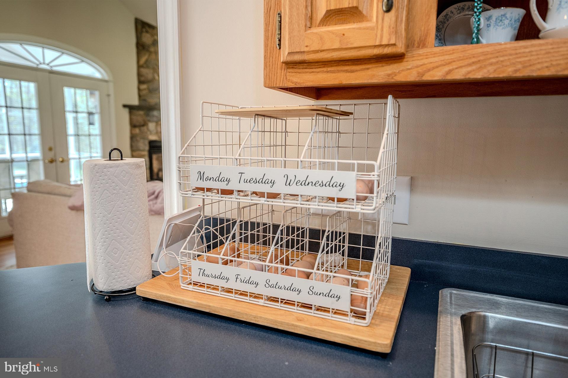 KING GEORGE ON THE POTOMAC - Residential