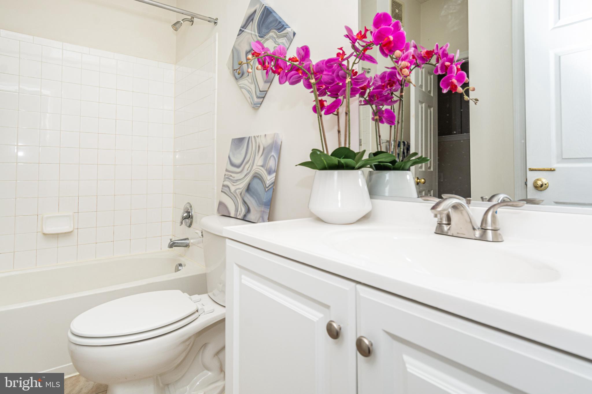 ALBEMARLE SQUARE - Residential