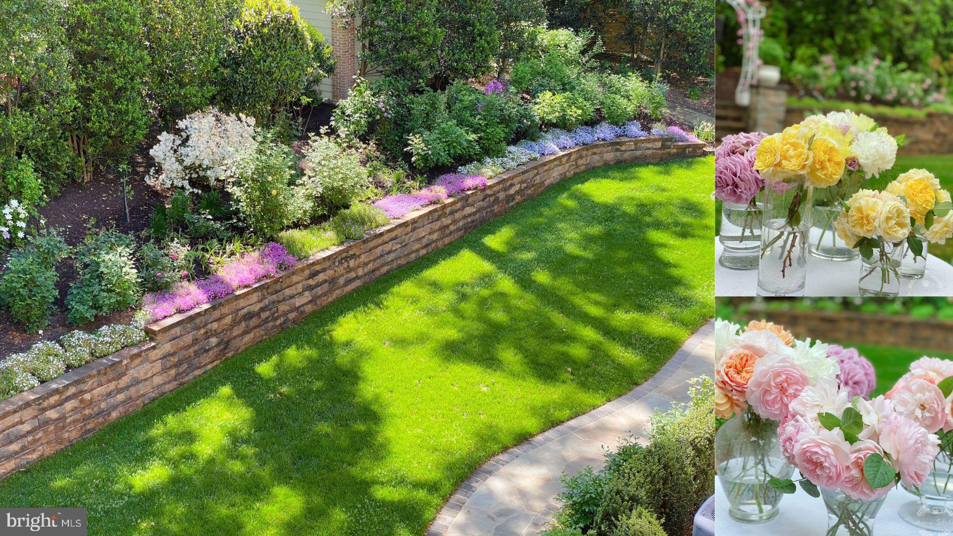 ELMWOOD ESTATES - Residential