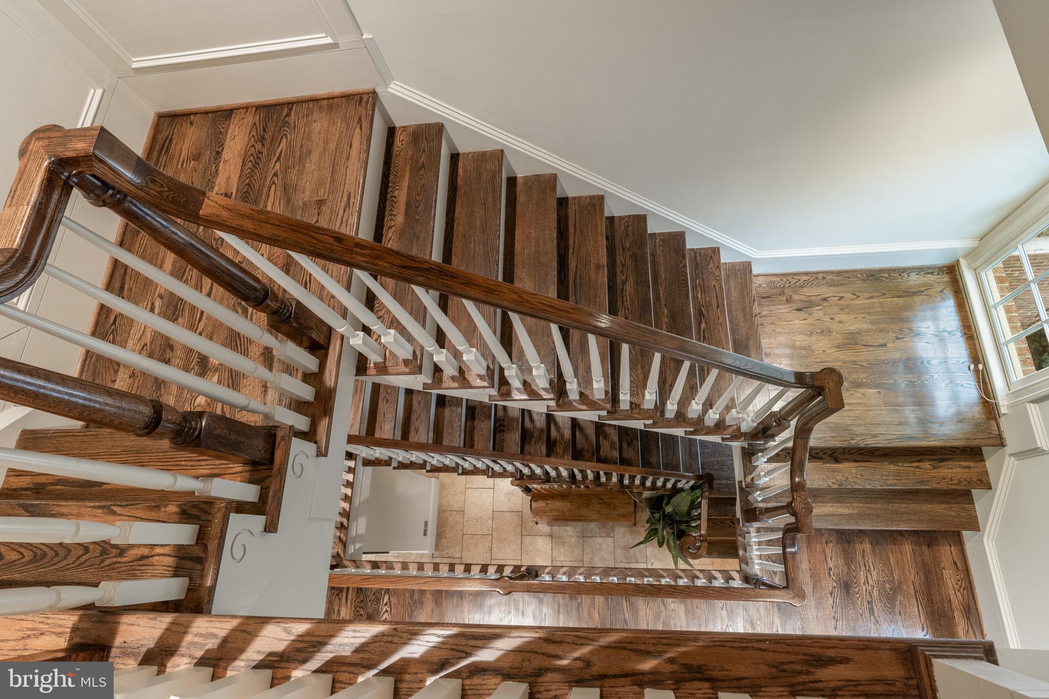 ELMWOOD ESTATES - Residential