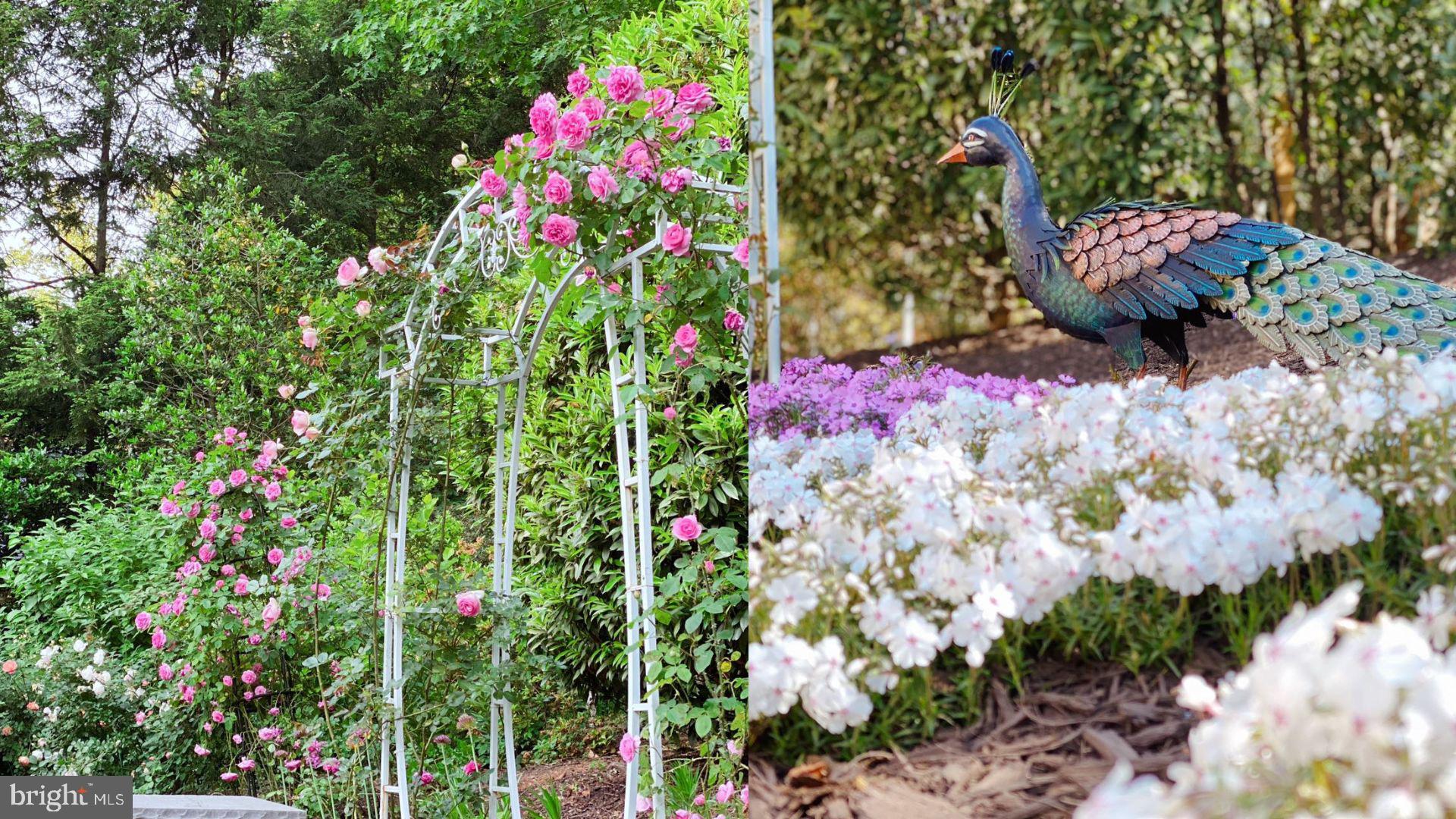 ELMWOOD ESTATES - Residential