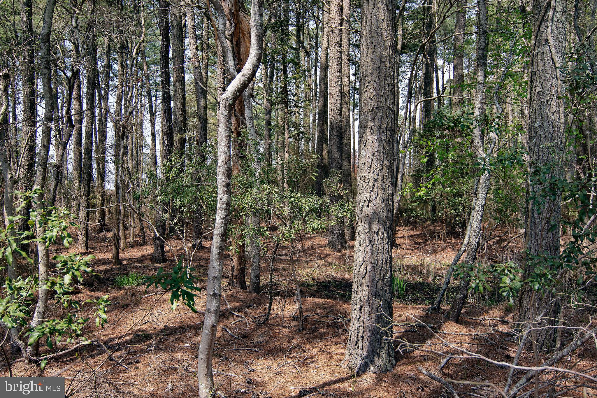 CAPTAIN'S COVE - Land