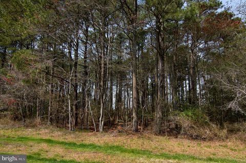 Vacant Land For Sale - LOT 862 Broadside Drive<br/> Accomack County, GREENBACKVILLE, VA 23356
