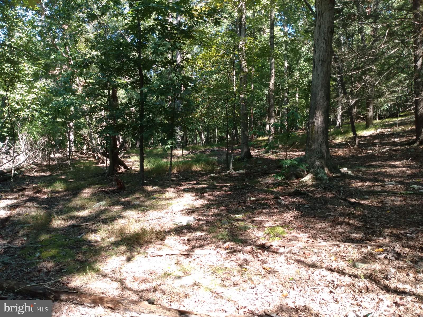 CAPON RIVER VISTA - Residential