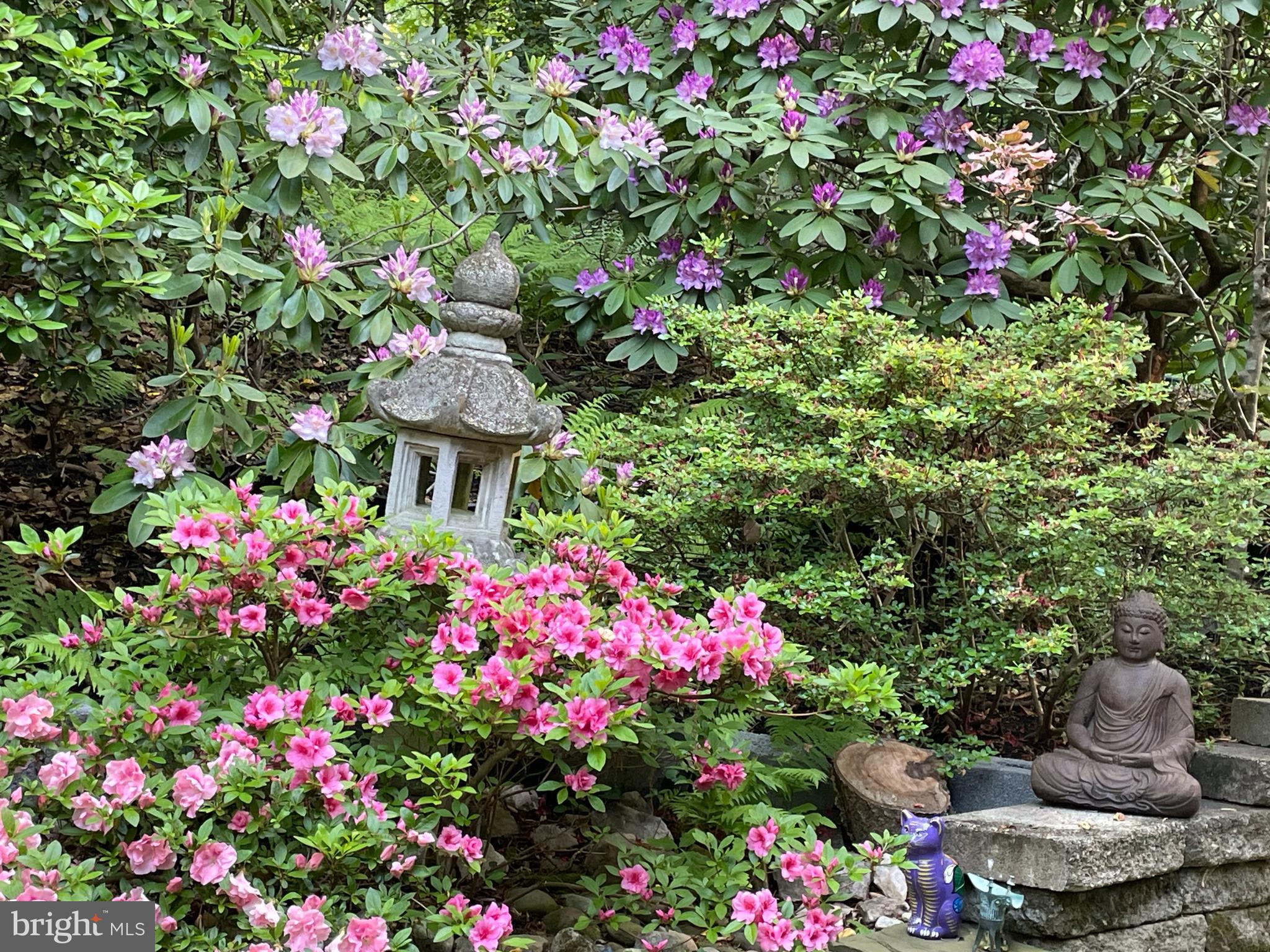 HOLMES RUN ACRES - Residential