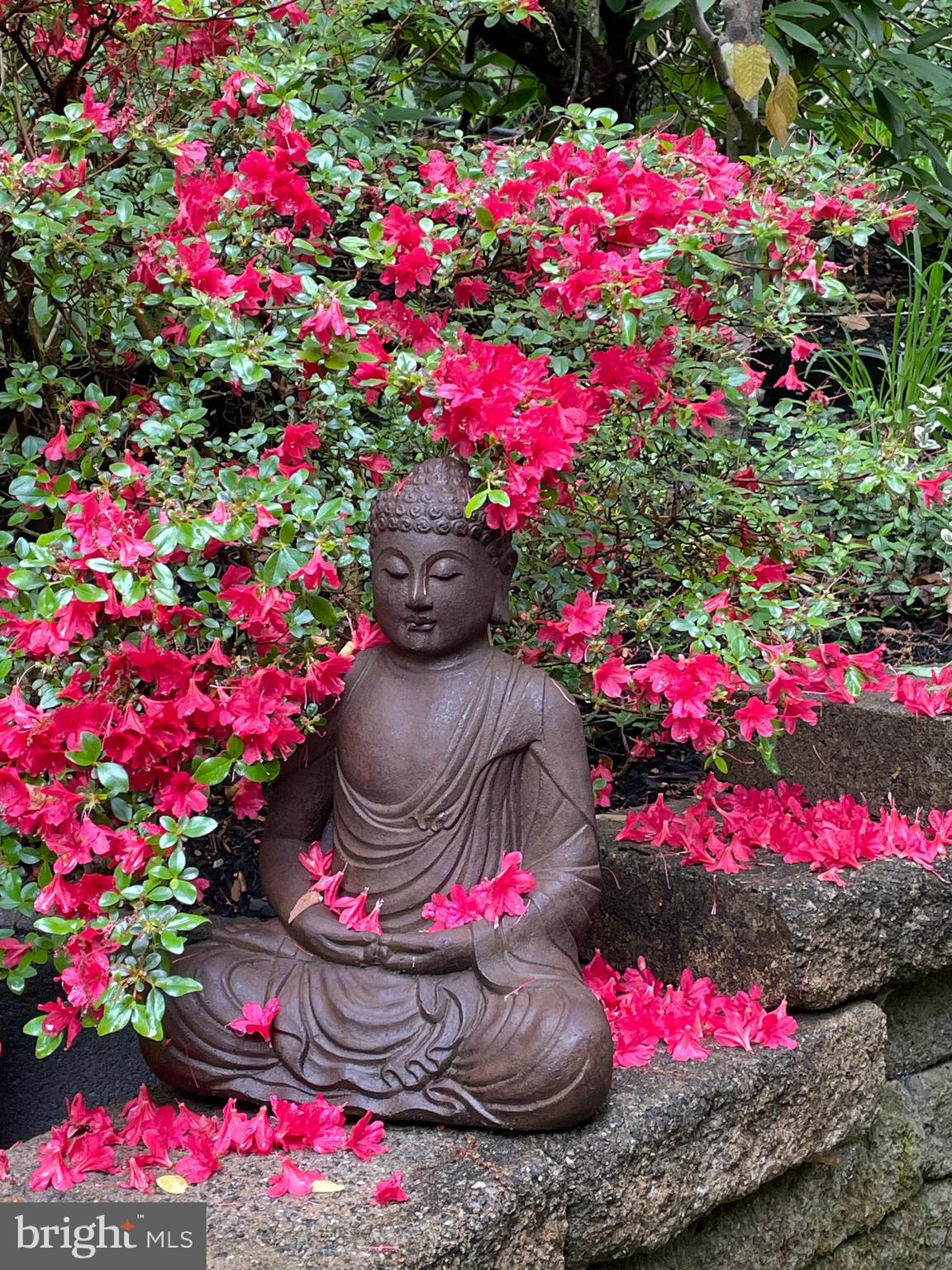 HOLMES RUN ACRES - Residential