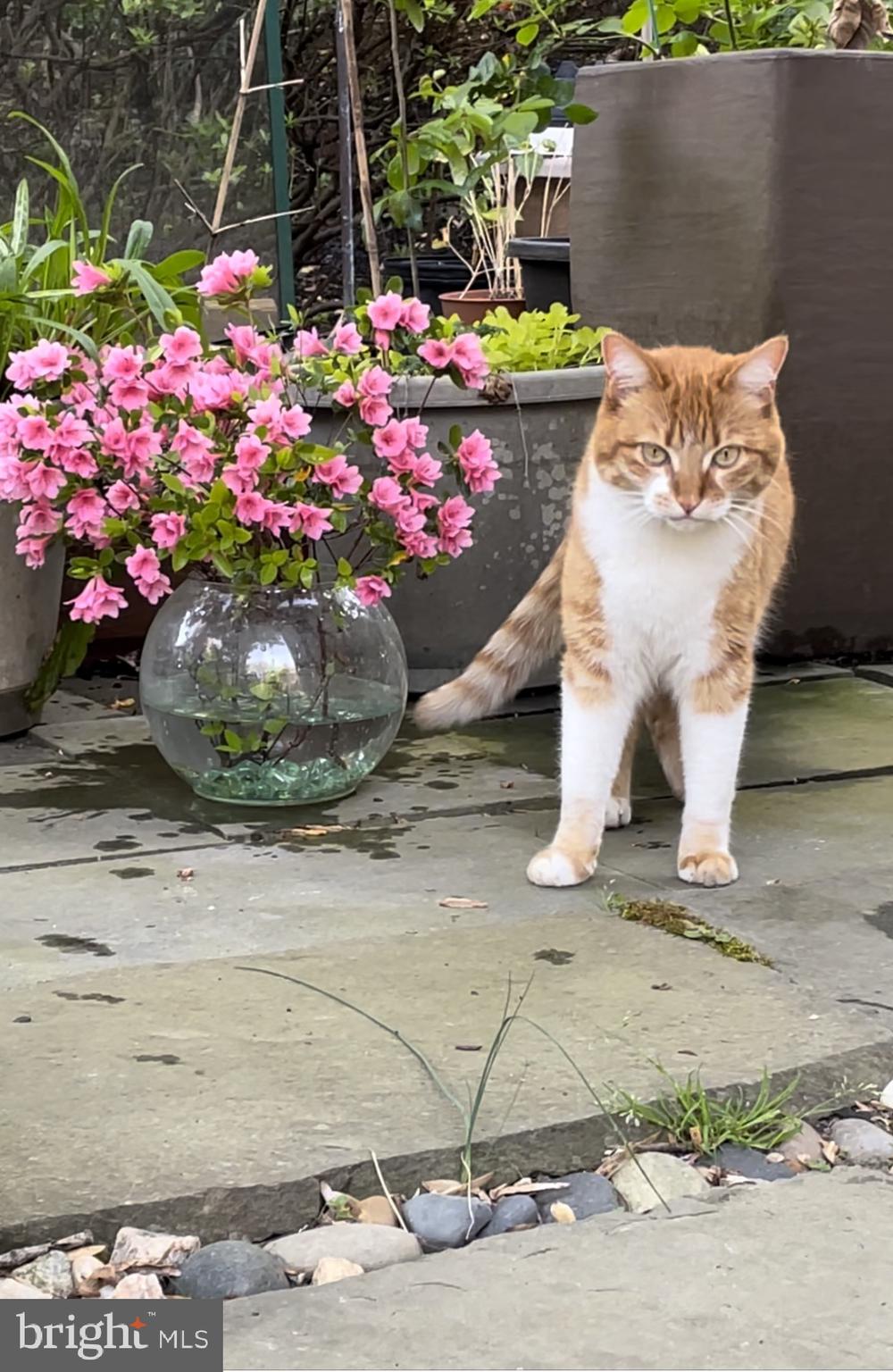 HOLMES RUN ACRES - Residential