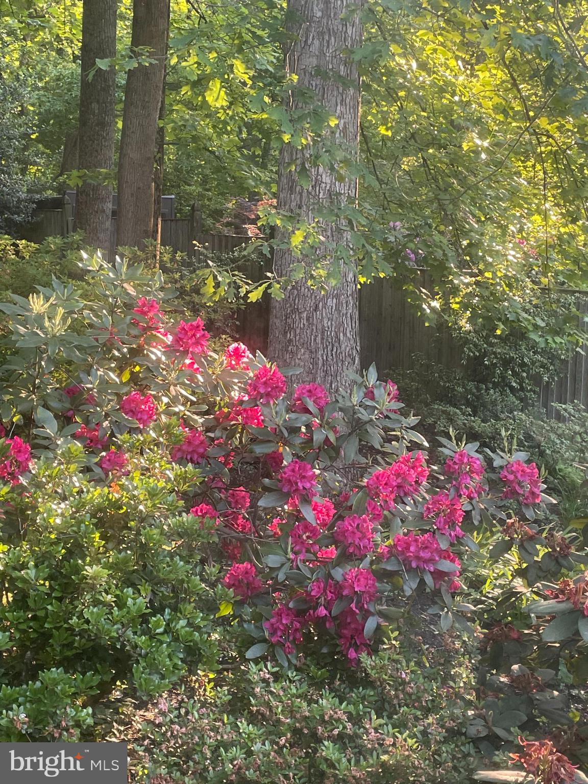 HOLMES RUN ACRES - Residential