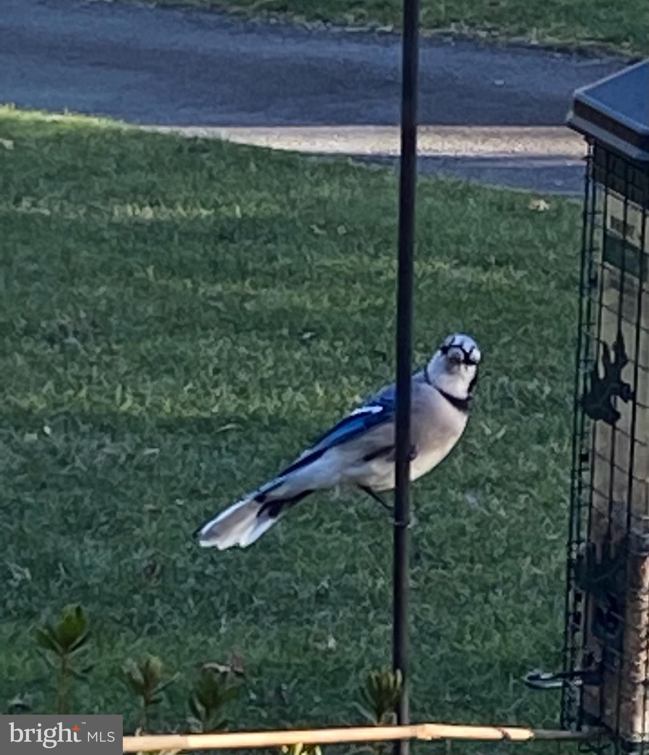 HOLMES RUN ACRES - Residential