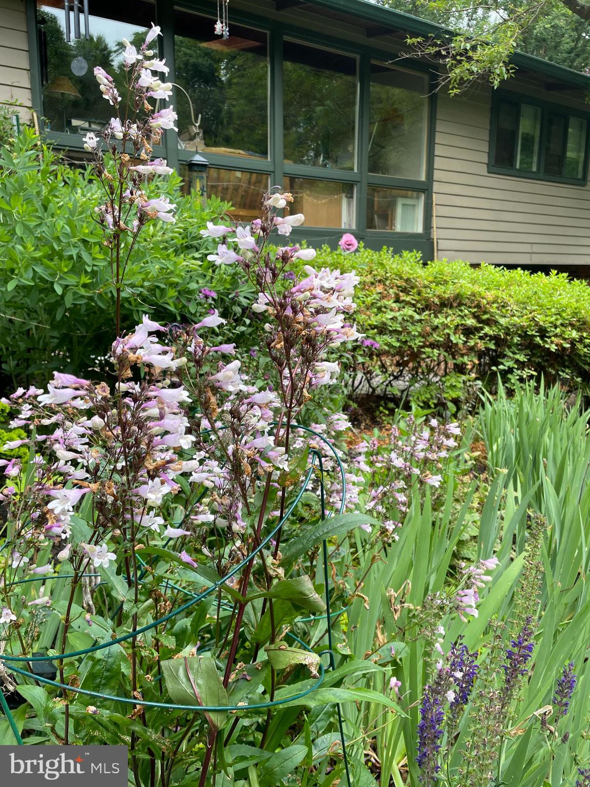 HOLMES RUN ACRES - Residential