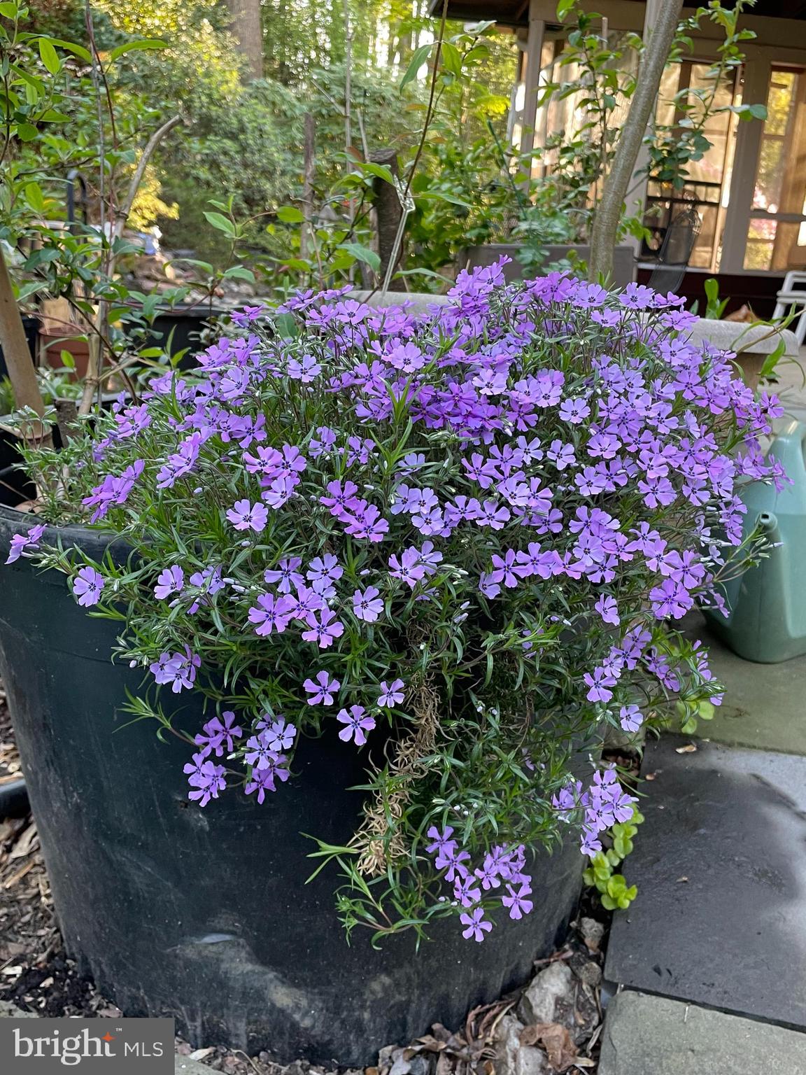 HOLMES RUN ACRES - Residential