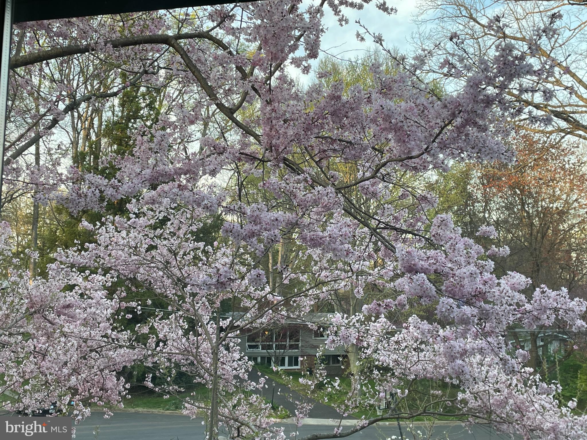 HOLMES RUN ACRES - Residential