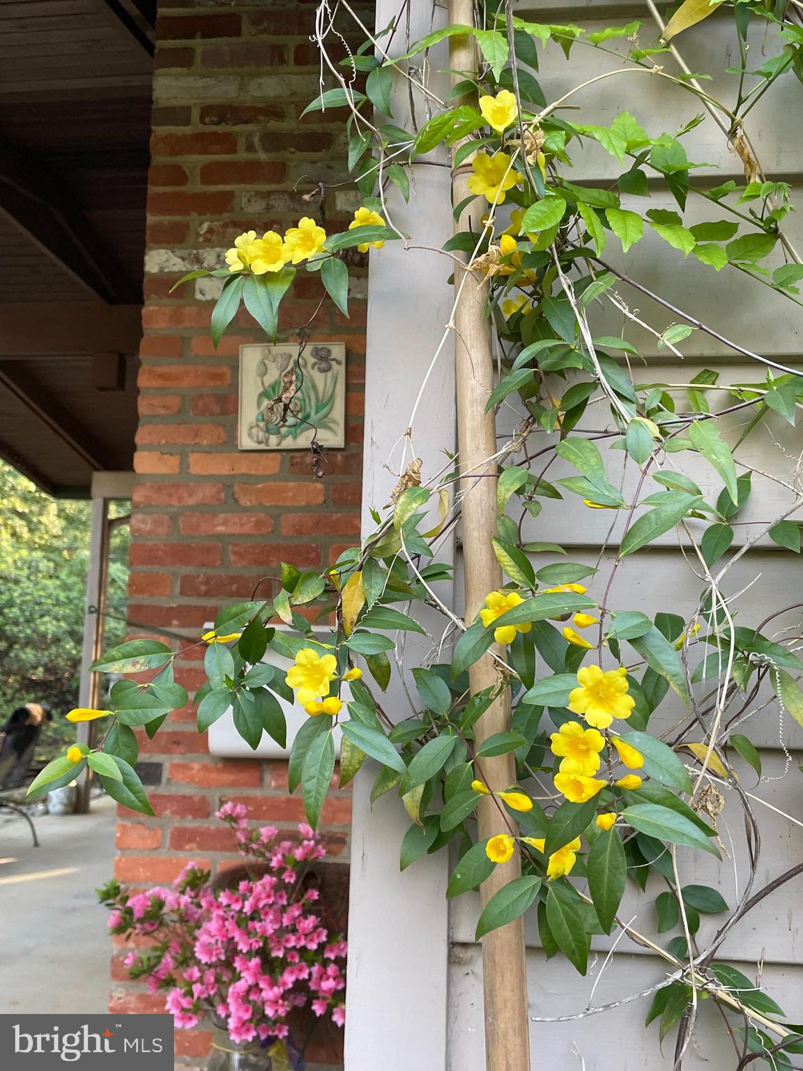 HOLMES RUN ACRES - Residential