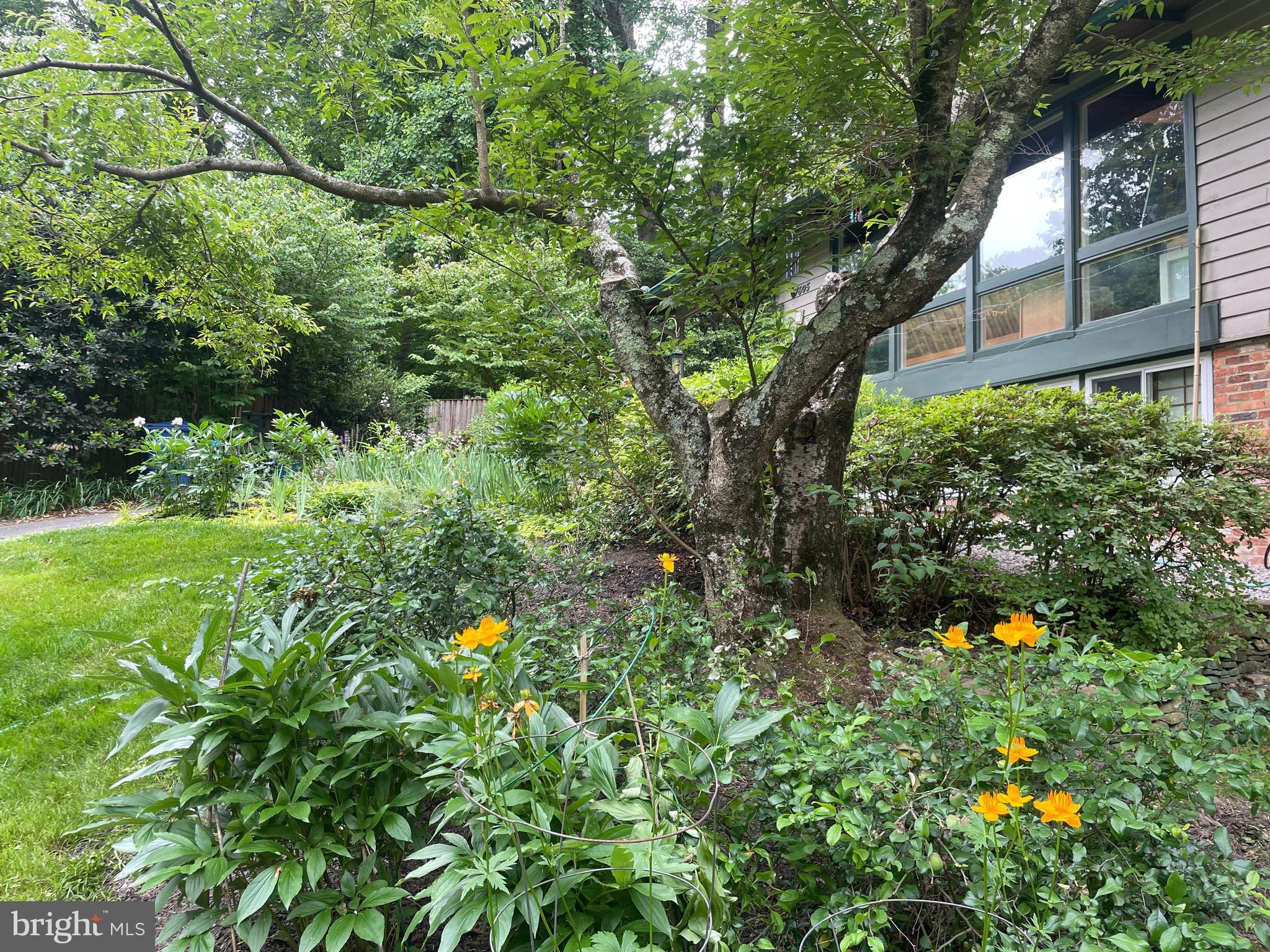 HOLMES RUN ACRES - Residential