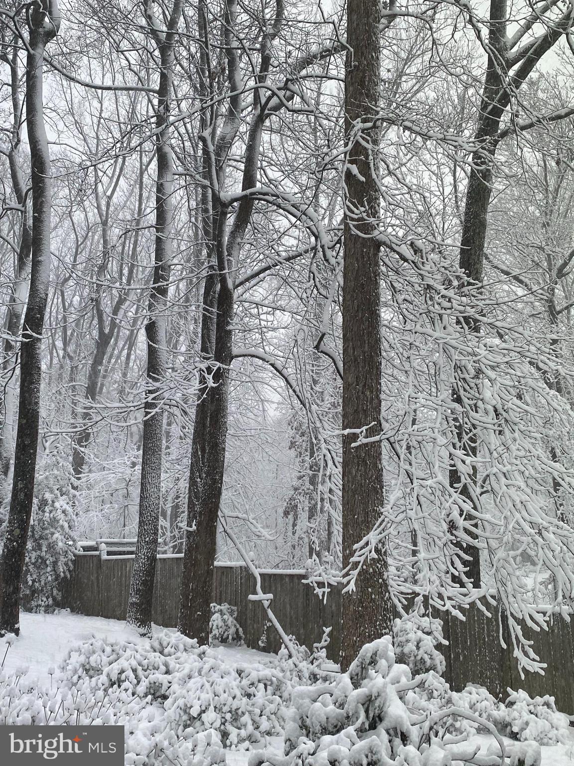 HOLMES RUN ACRES - Residential