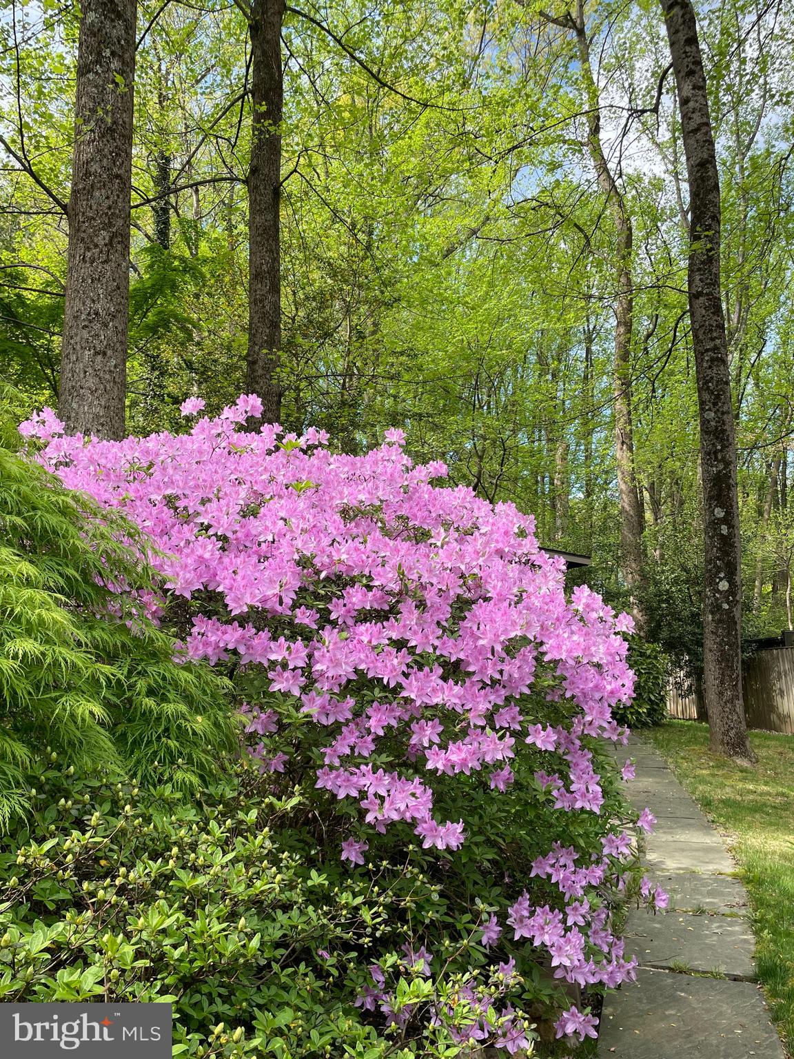 HOLMES RUN ACRES - Residential