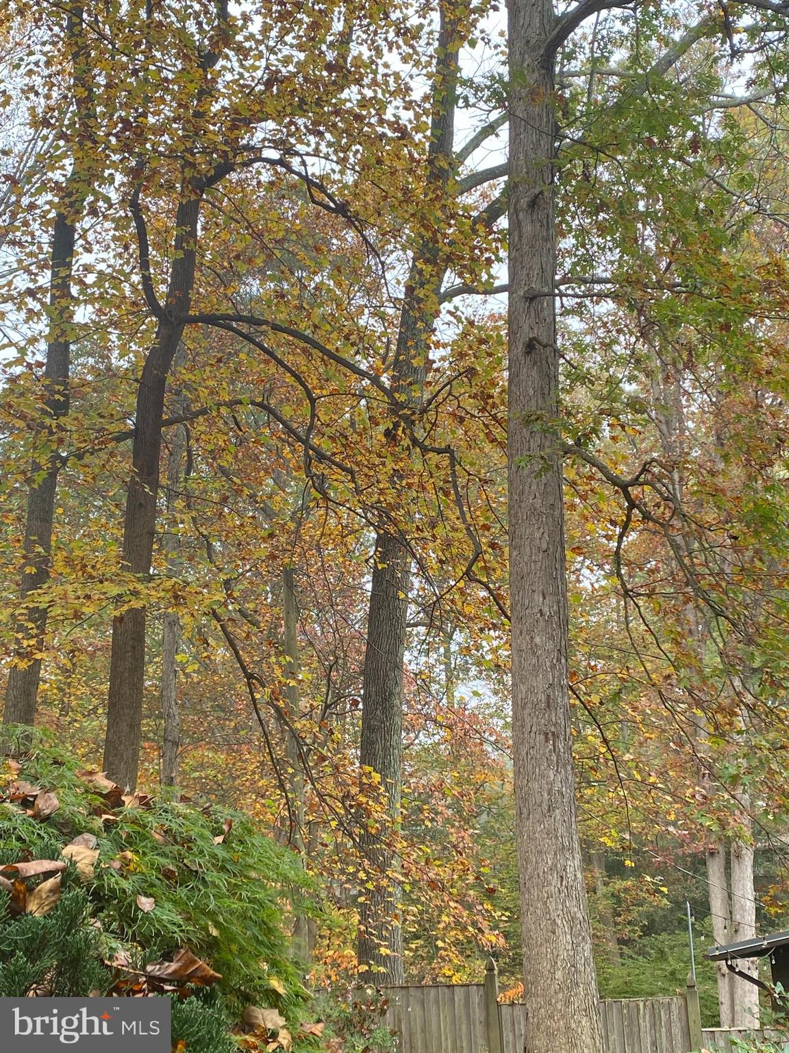 HOLMES RUN ACRES - Residential