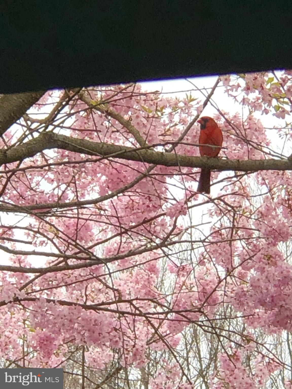 HOLMES RUN ACRES - Residential