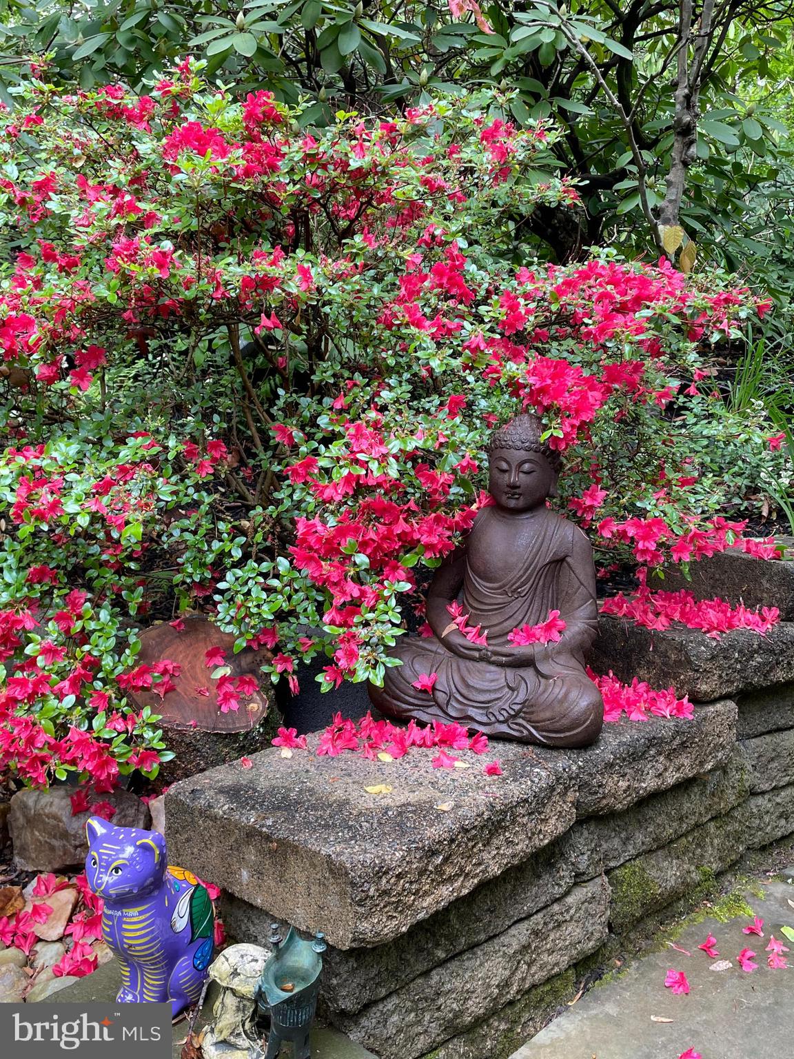 HOLMES RUN ACRES - Residential