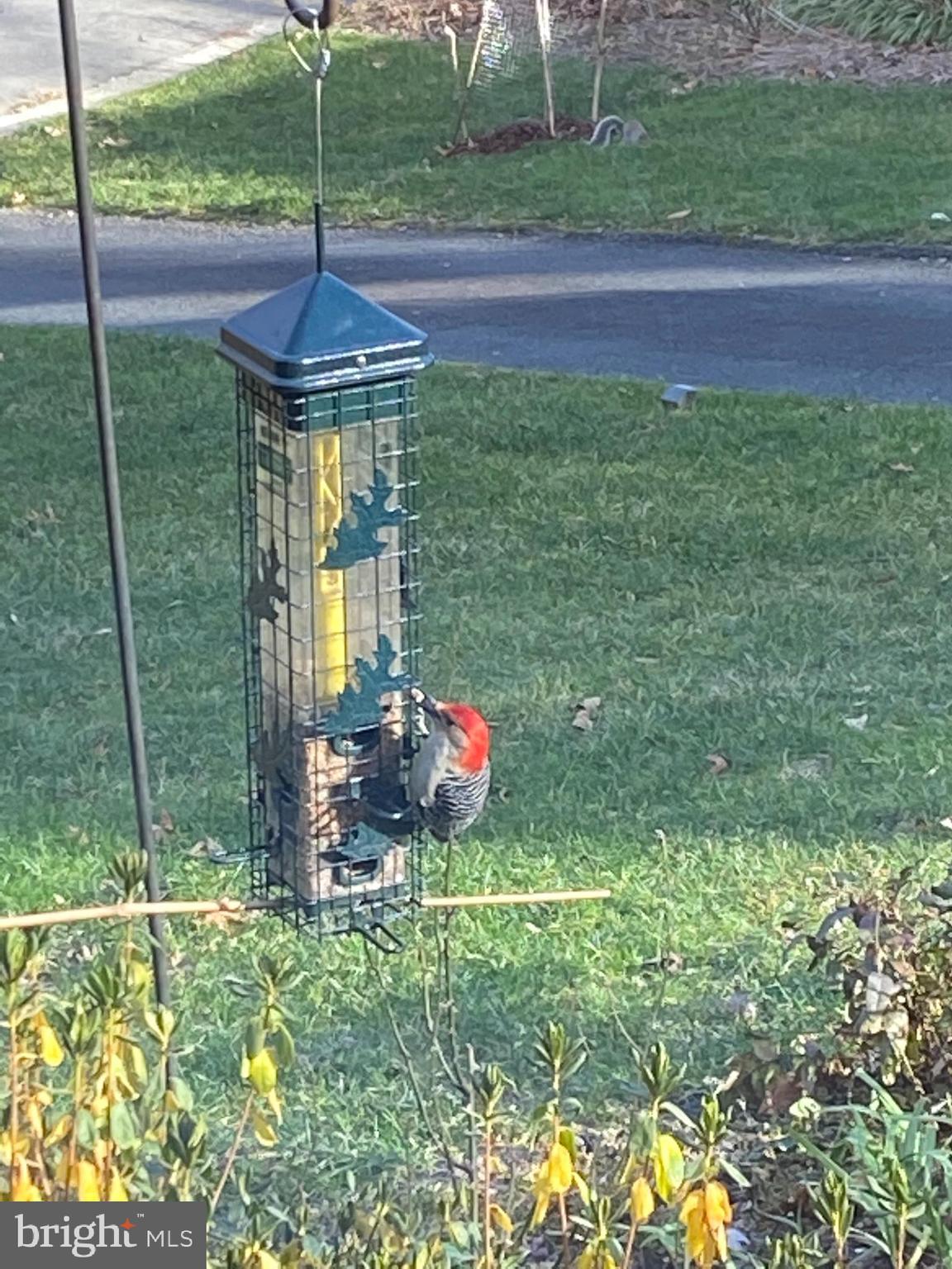 HOLMES RUN ACRES - Residential