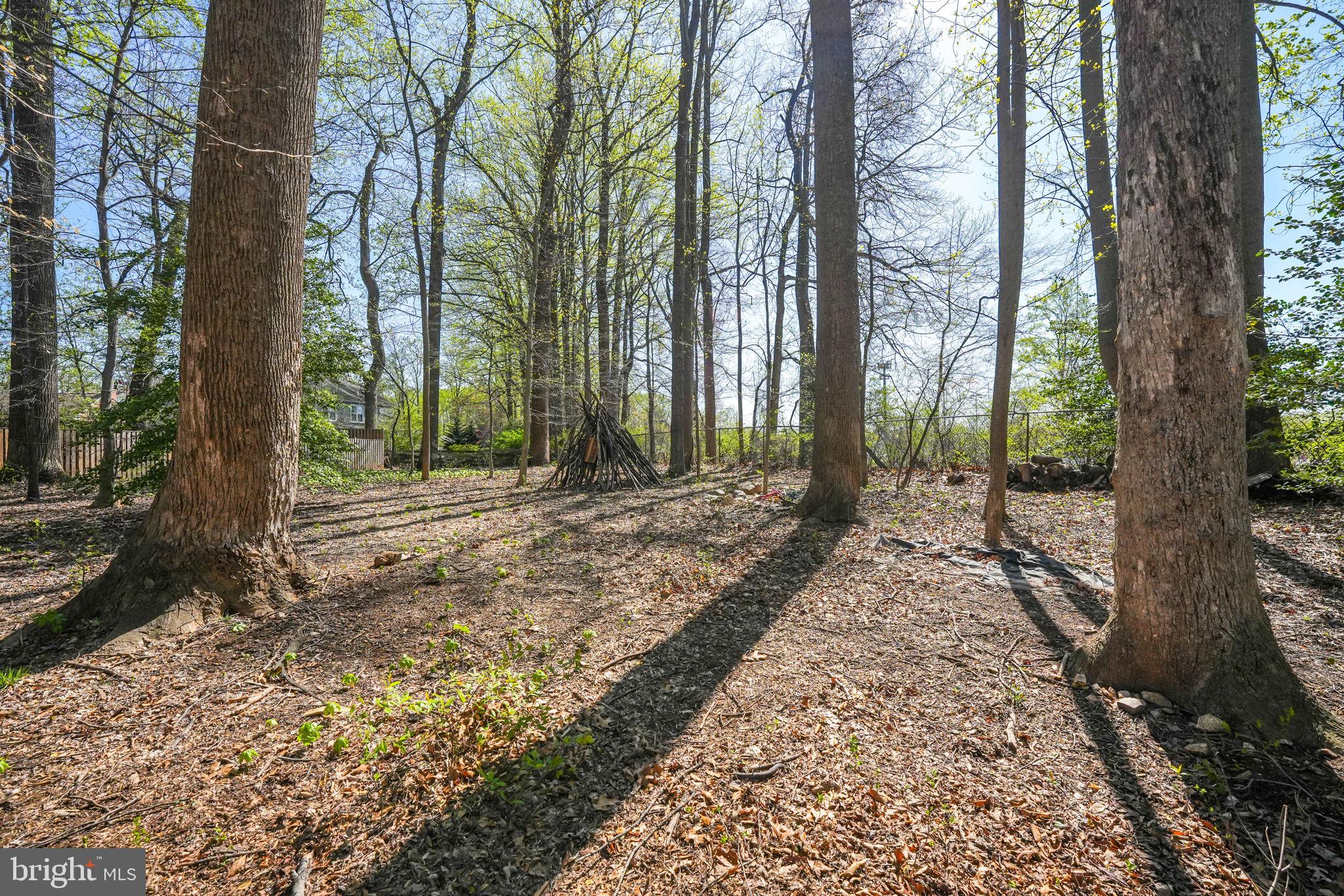 LAKE BRADDOCK - Residential