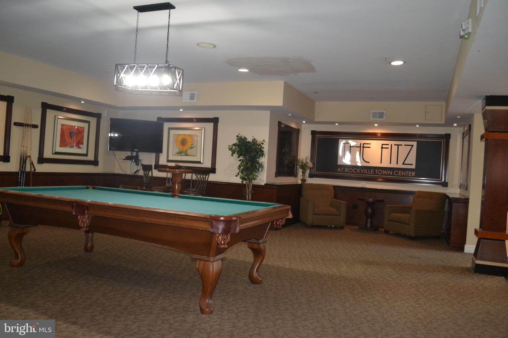 THE FITZ - Residential