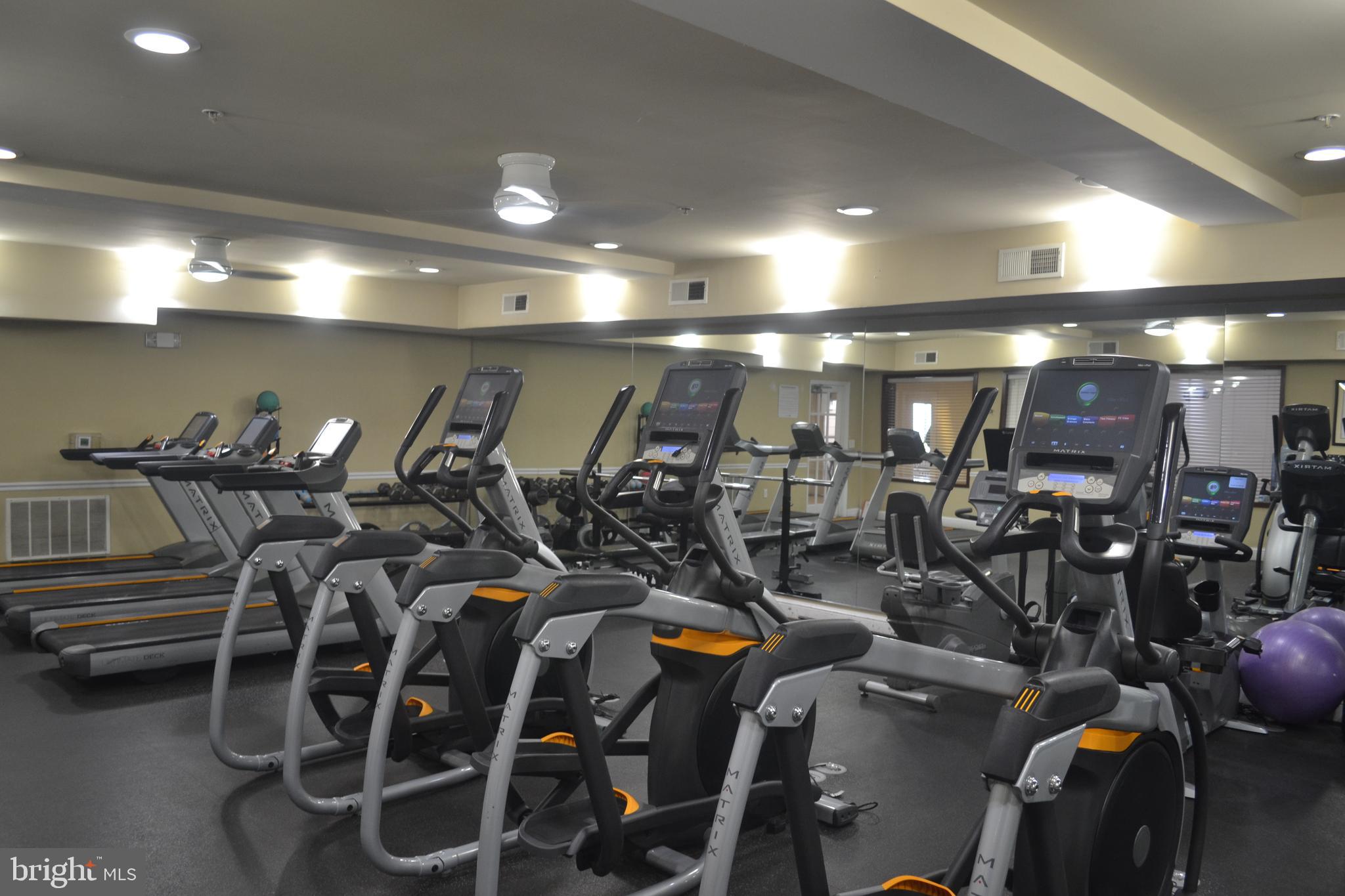 THE FITZ - Residential