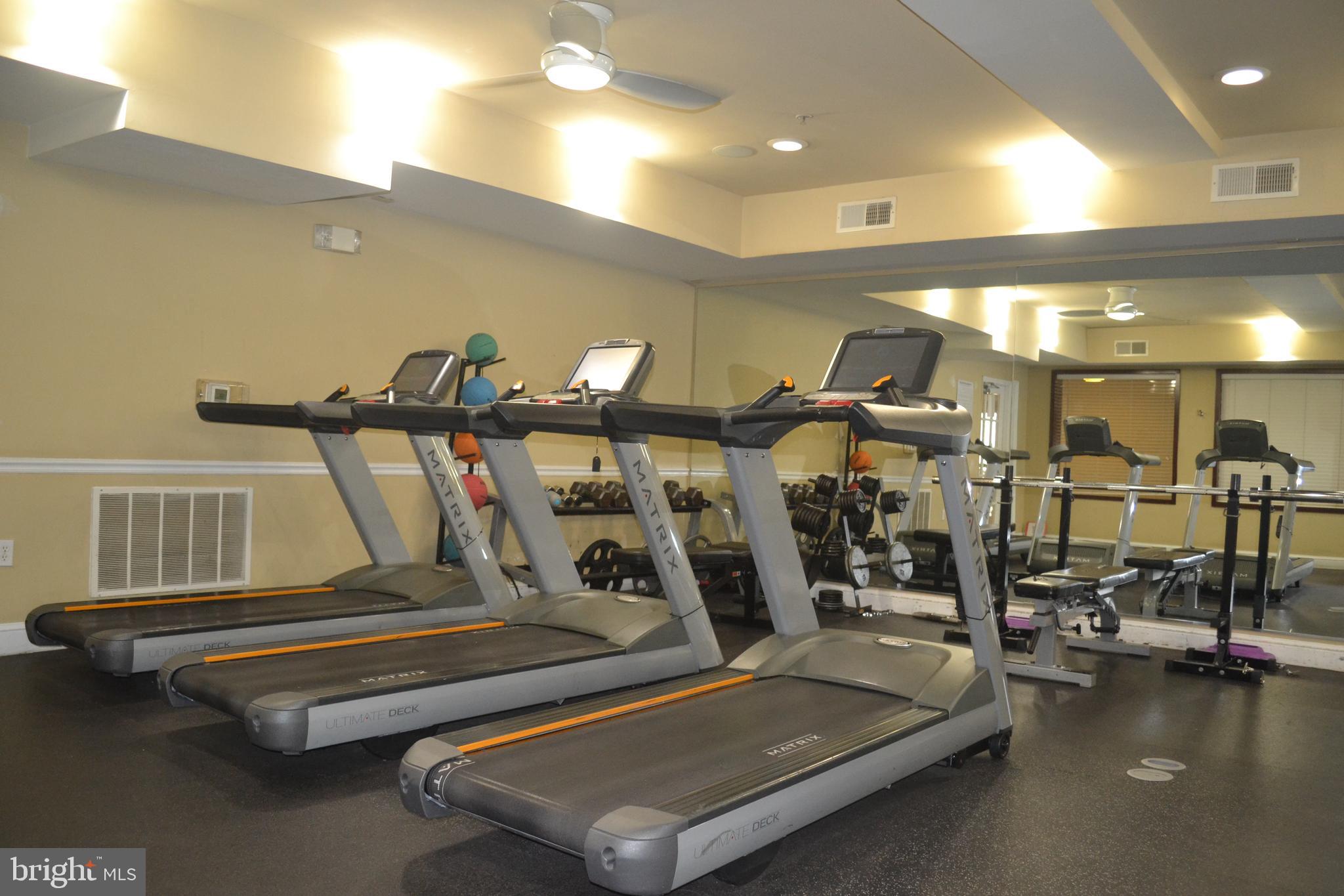 THE FITZ - Residential