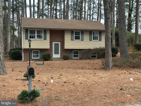 Photo of 705 Buckingham Circle, SALISBURY, MD 21804 (MLS # MDWC2021200)