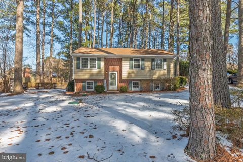 705 BUCKINGHAM CIRCLE SALISBURY MD 21804