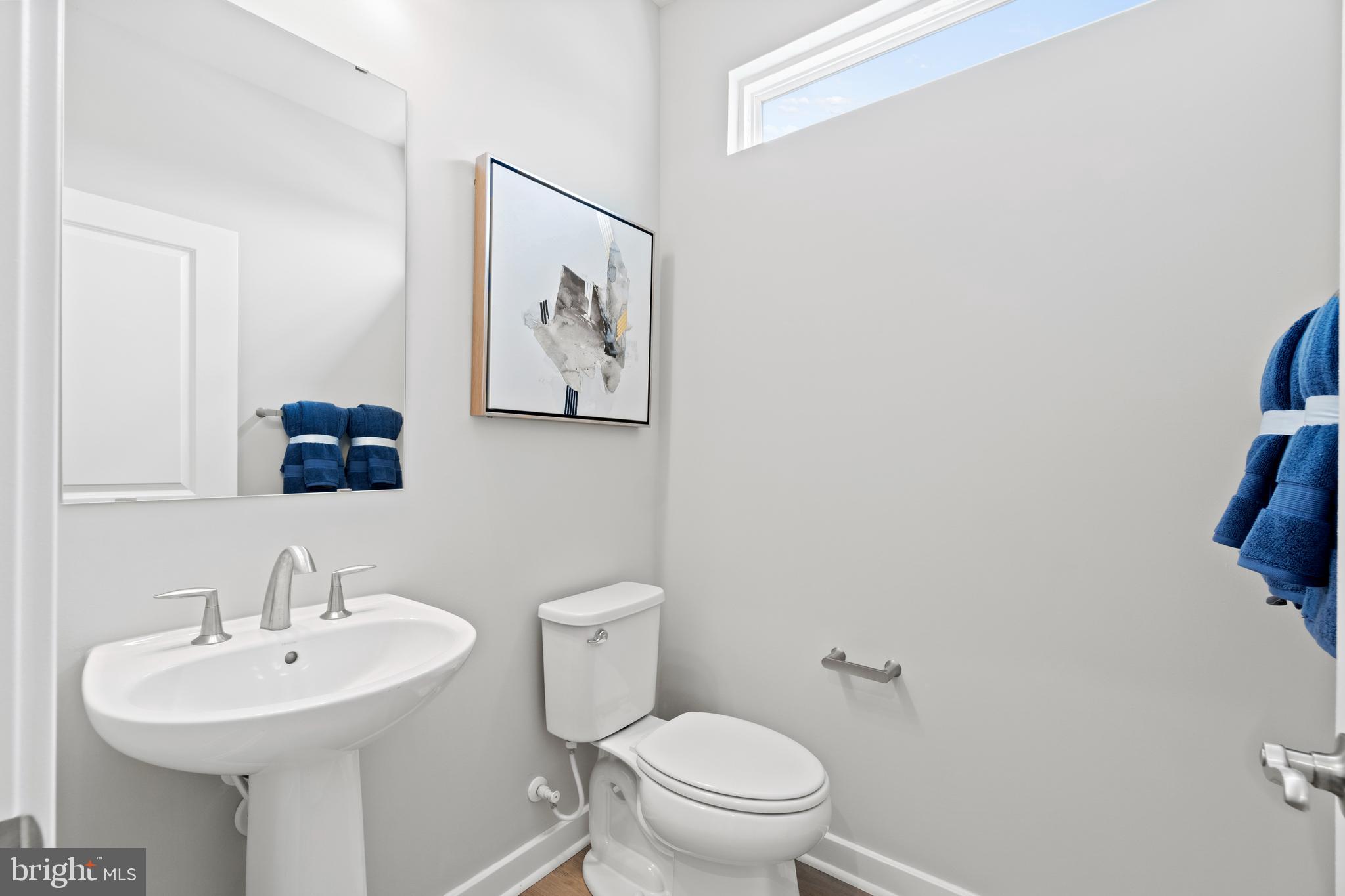 THE VILLAGE AT CABIN BRANCH - Residential