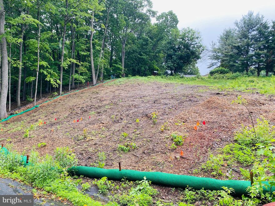 .31 Acre Cleared Lot - Quiet Street,  Utilities ready!  Build your dream. home on this .31 acre cleared lot tucked away on a peaceful - no-outlet street. With public water, sewer, and electric available for hook-up, it's ready for your plans. No clearing, no through traffic - just a great spot to settle in and start fresh!