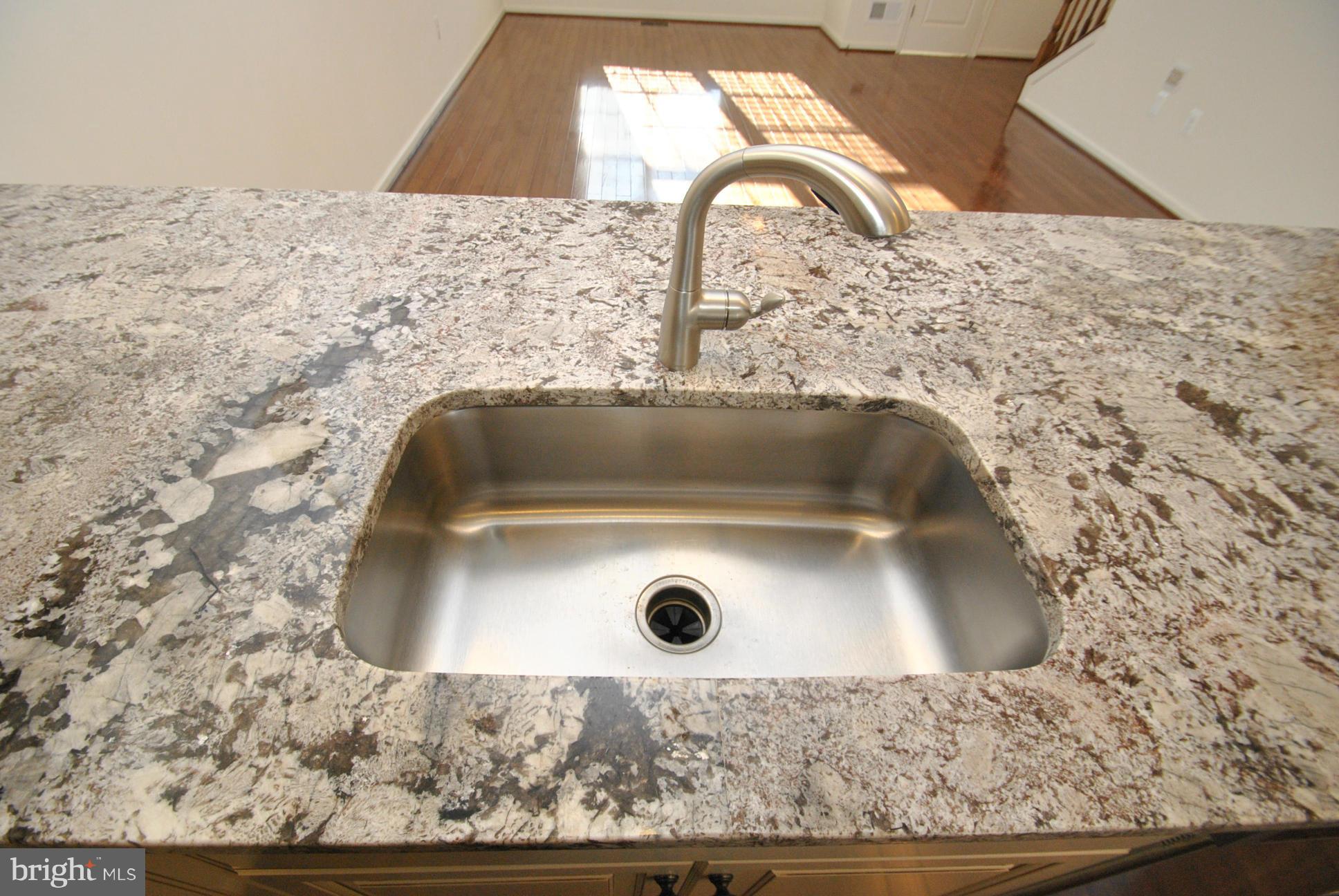 PRESERVE AT WINDLASS RUN - Residential