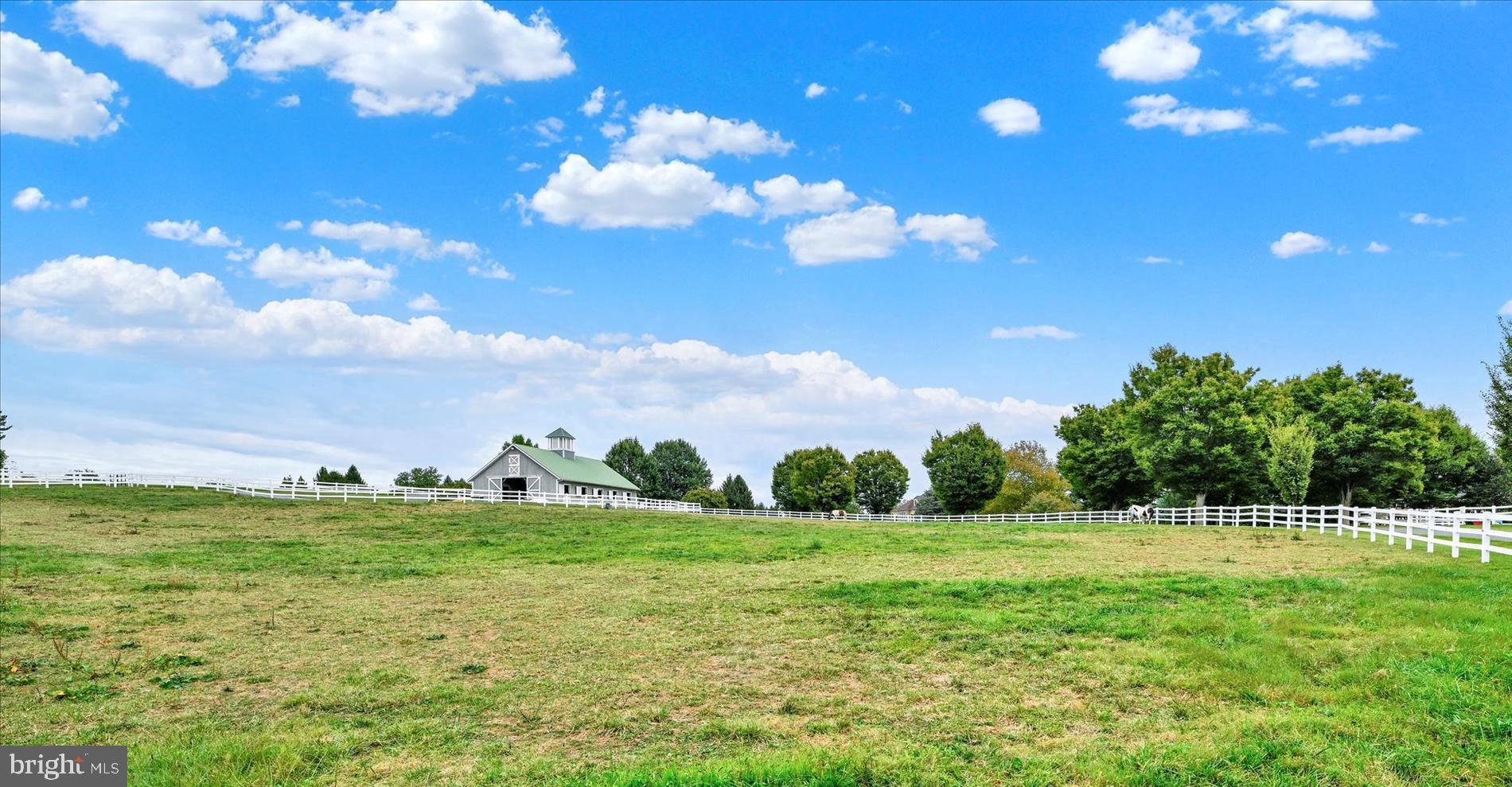 BLENHEIM FARM - Residential